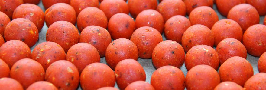 bouillettes en fonction de sa pêche