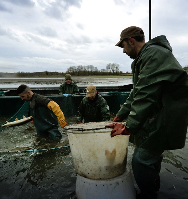 conseils-pour-aller-a-la-peche